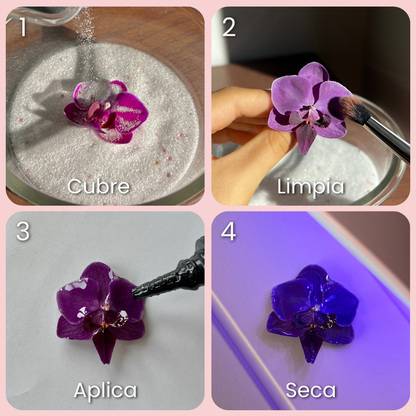 Kit de Flores Eternas