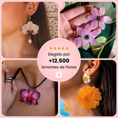 Kit de Flores Eternas